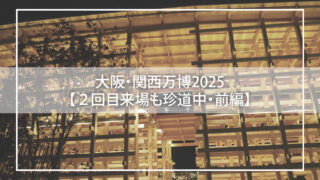 大阪・関西万博2025 【2回目来場も珍道中・前編】